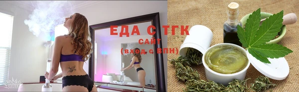 гашик Алзамай