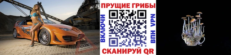 Псилоцибиновые грибы Cubensis  Белгород 